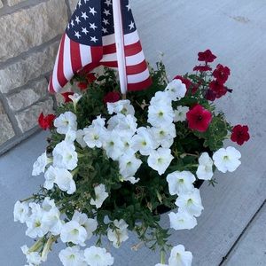 Meet your Posher, Cherry